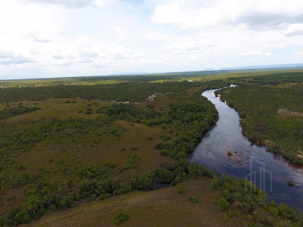 Imagem 9 do imóvel Fazenda Exclusiva no Jalapão – 2.500 Hectares