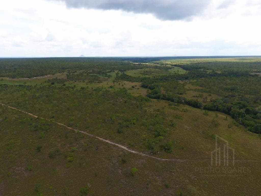 Imagem 7 do imóvel Fazenda Exclusiva no Jalapão – 2.500 Hectares