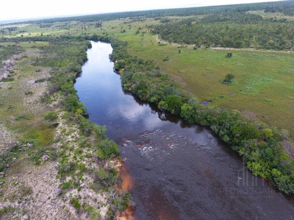 Imagem 6 do imóvel Fazenda Exclusiva no Jalapão – 2.500 Hectares
