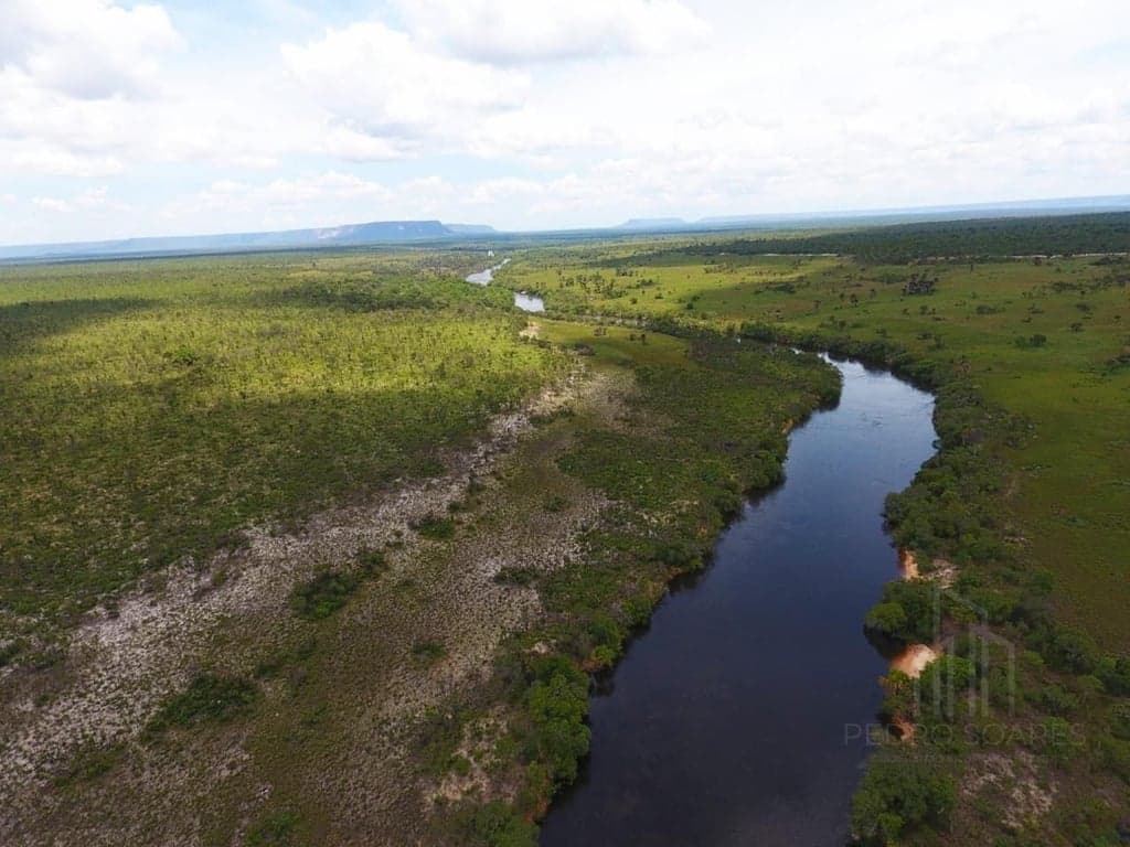 Foto 2 do imóvel Fazenda Exclusiva no Jalapão – 2.500 Hectares