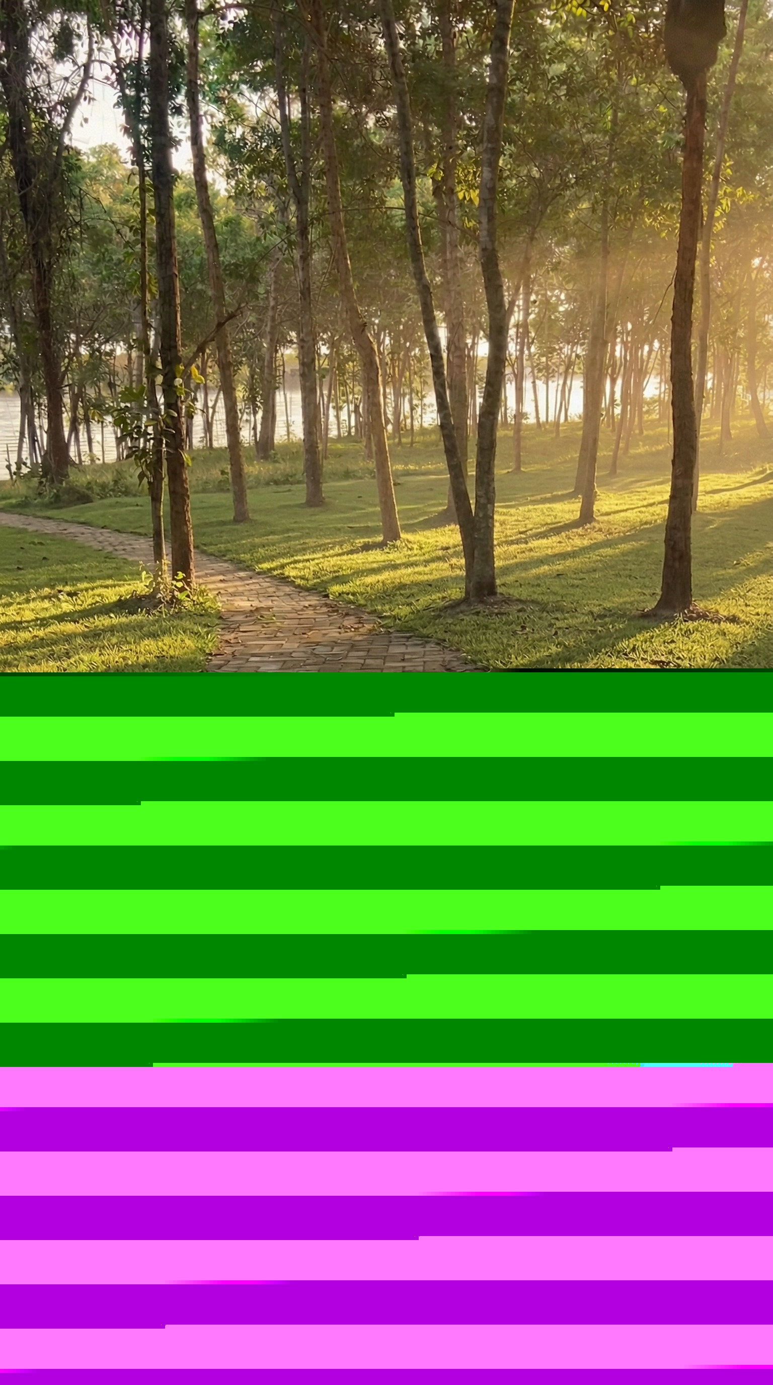 Parque ecológico com árvores e luz natural