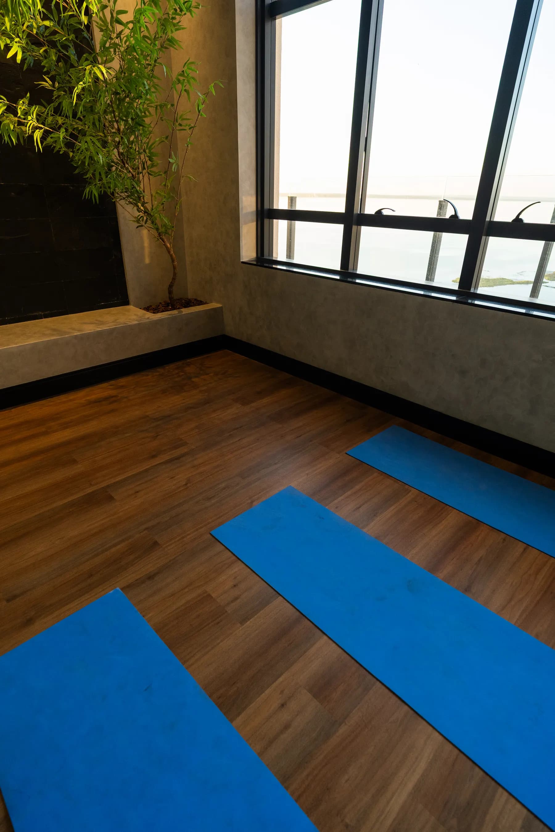 Sala de yoga com vista para o lago